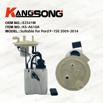 Aplicável ao Ford Raptor F-150/E2541M/Conjunto da bomba de combustível/KS-A618A