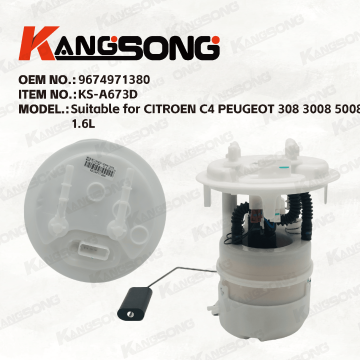 Applicable to CITROEN C4 PEUGEOT 308 3008 5008 1.6L  /9674971380/Fuel Pump Assembly /KS-A673D