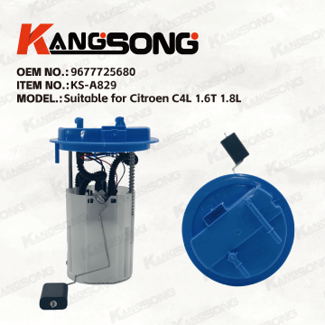 Applicable to Citroen/9677725680/Fuel Pump Assembly/KS-A829