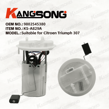 Applicable to Citroen Triumph 307/9802545380/Fuel Pump Assembly/KS-A829A