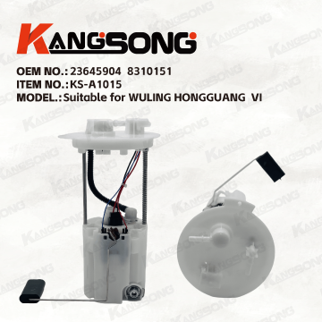 Applicable to  WULING HONGGUANG/23645904 8310151/Fuel Pump Assembly/KS-A1015