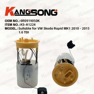 Applicable to VW Skoda Rapid MK1/6R0919050K/Fuel Pump Assembly/KS-A1224