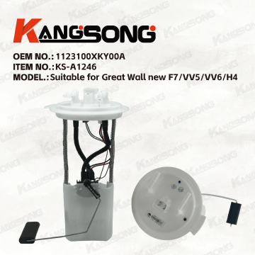 Applicable to Great Wall/1123100XKY00A/Fuel Pump Assembly/KS-A1246