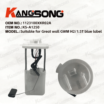 Applicable to Great wall GWM/1123100XKR02A/Fuel Pump Assembly/KS-A1250