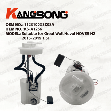 Applicable to Great Wall Haval HOVER/1123100XSZ08A/Fuel Pump Assembly/KS-A1256