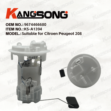 Applicable to Citroen Peugeot 208/9674466680/Fuel Pump Assembly/KS-A1394