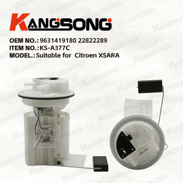 Applicable to Citroen XSARA/9631419180 22822289/Fuel Pump Assembly/KS-A377C
