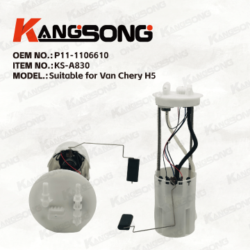 Applicable to Van Chery /P11-1106610/Fuel Pump Assembly/KS-A830
