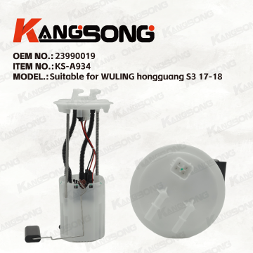 Applicable to WULING hongguang/23990019/Fuel Pump Assembly/KS-A934