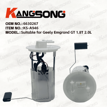 Applicable to Geely Emgrand GT/6630267 /Fuel Pump Assembly/KS-A946