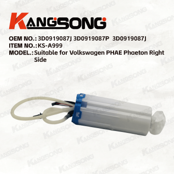 Applicable to Volkswagen PHAE /3D0 919 087J, 3D0 919 087P, 3D0919087J/Fuel Pump Assembly/KS-A999