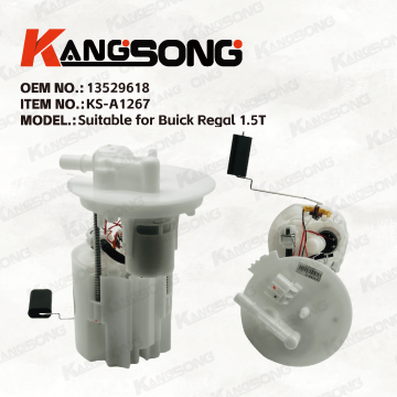 Applicable to Buick Regal 1.5T  /13529618/Fuel Pump Assembly /KS-A1267