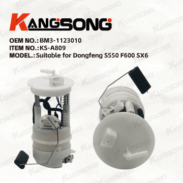 Стосується Dongfeng S550 F600 SX6/BM3-1123010/Паливний насос/KS-A809