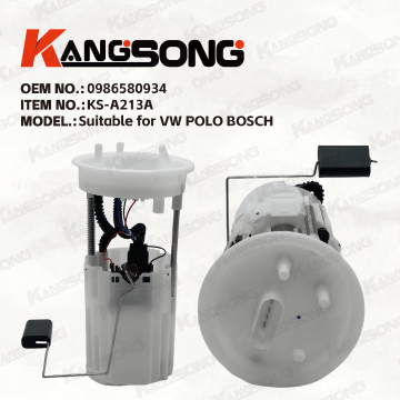 Applicable to VW POLO BOSCH  / 0 986 580 934 /Fuel Pump Assembly/KS-A213A