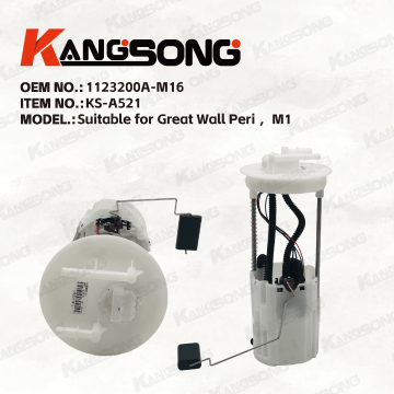 Applicable to Great Wall Peri/1123200A-M16/Fuel Pump Assembly/KS-A521