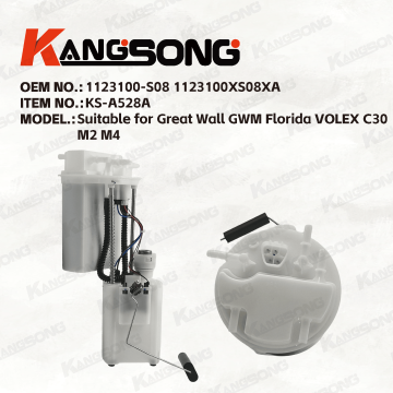Applicable to Great Wall/1123100-S08 1123100XS08XA/Fuel Pump Assembly/KS-A528A