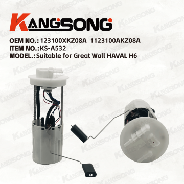 Applicable to Great Wall HAVAL H6/1123100XKZ08A  1123100AKZ08A/Fuel Pump Assembly/KS-A532
