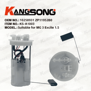 Applicable to MG 3/10258931 ZP11952B0/Fuel Pump Assembly/KS-A1003