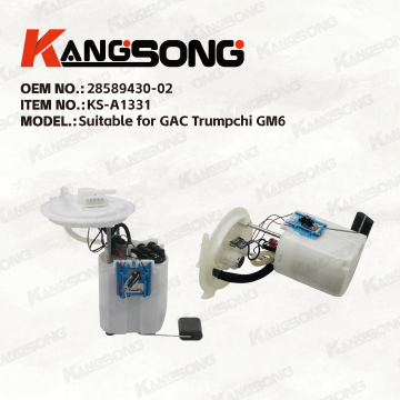 Applicable to GAC Trumpchi GM6 /28589430-02/Fuel Pump Assembly/KS-A1331