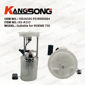 Applicable to ROEWE 750/10026505 F01R00S084/Fuel Pump Assembly/KS-A533