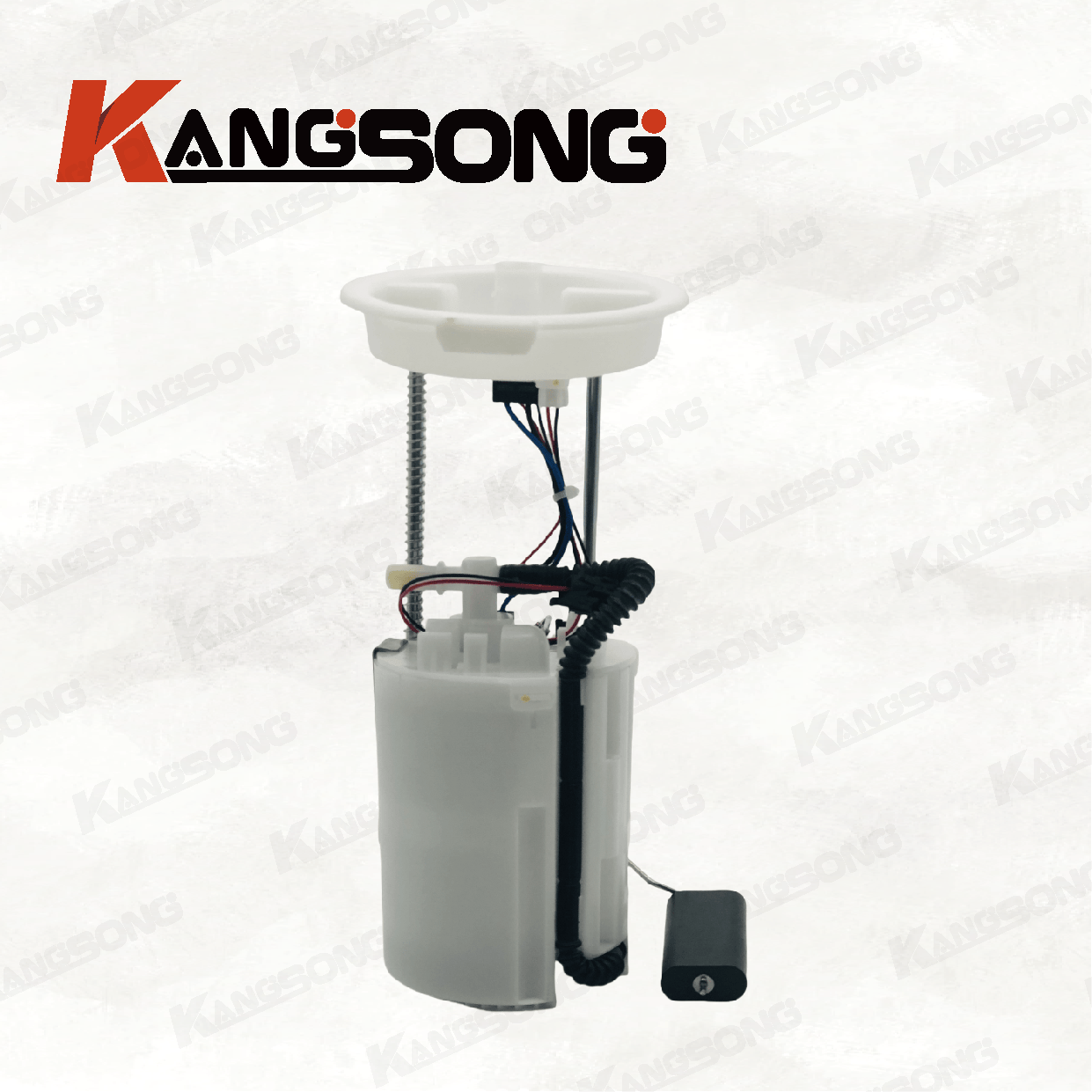 Applicable to ROEWE 750/10026505 F01R00S084/Fuel Pump Assembly/KS-A533