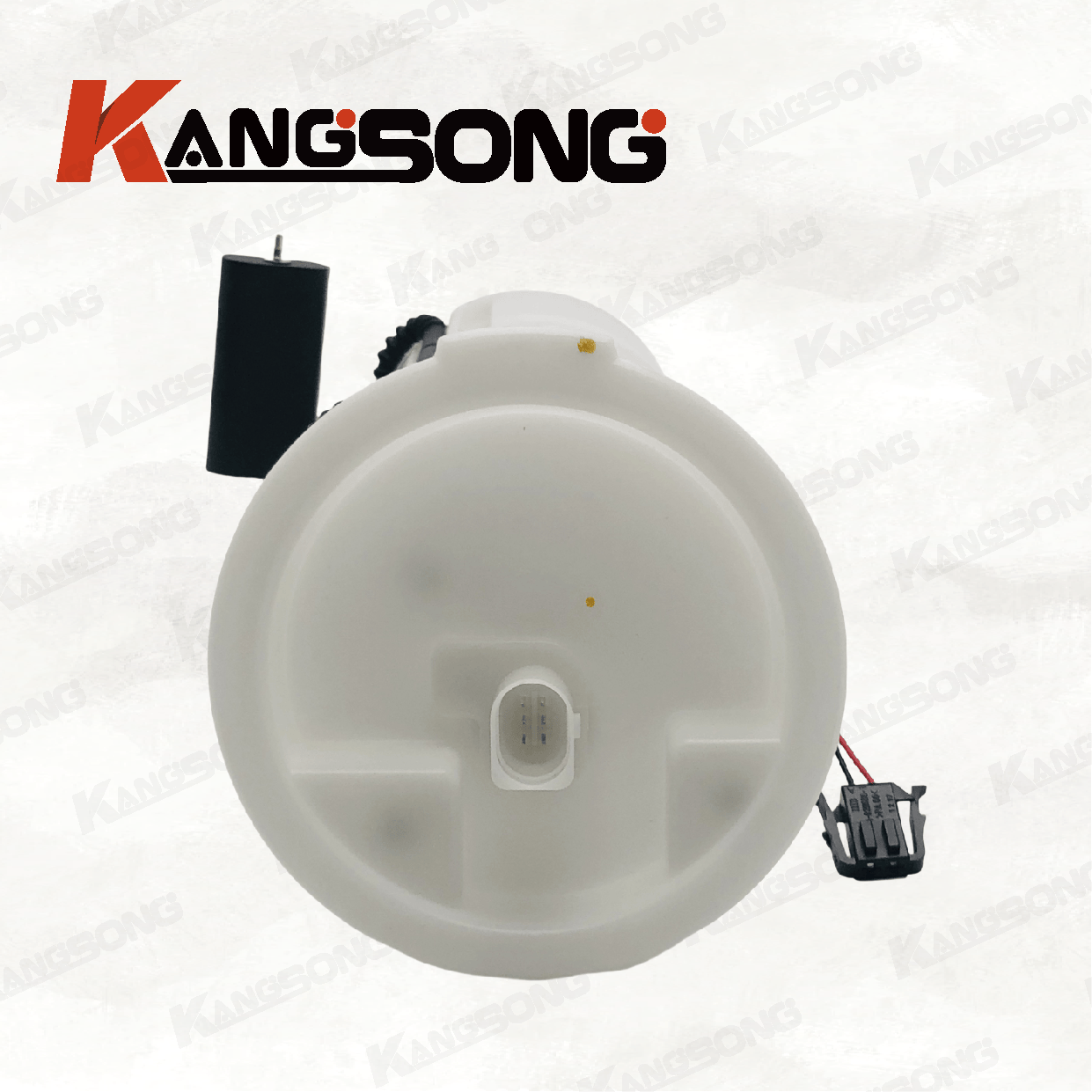 Applicable to ROEWE 750/10026505 F01R00S084/Fuel Pump Assembly/KS-A533