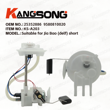 Applicable to Jia Bao (delf) short/25352886 9580810020/Fuel Pump Assembly/KS-A203