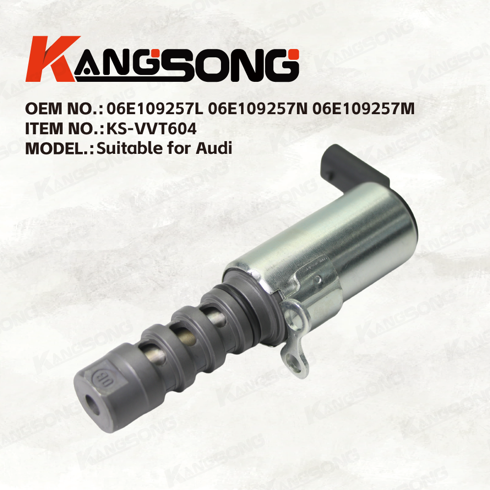 Applicable to Audi/06E109257L 06E109257N 06E109257M/VariableValveTiming/KS-VVT604