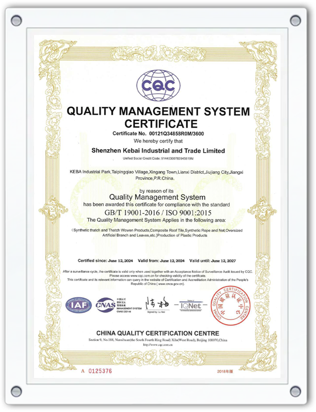 certificate1