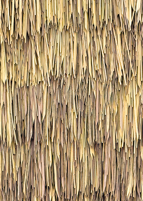 DM_20250417100725_005