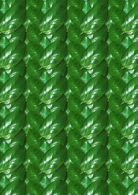 DM_20250417100725_006