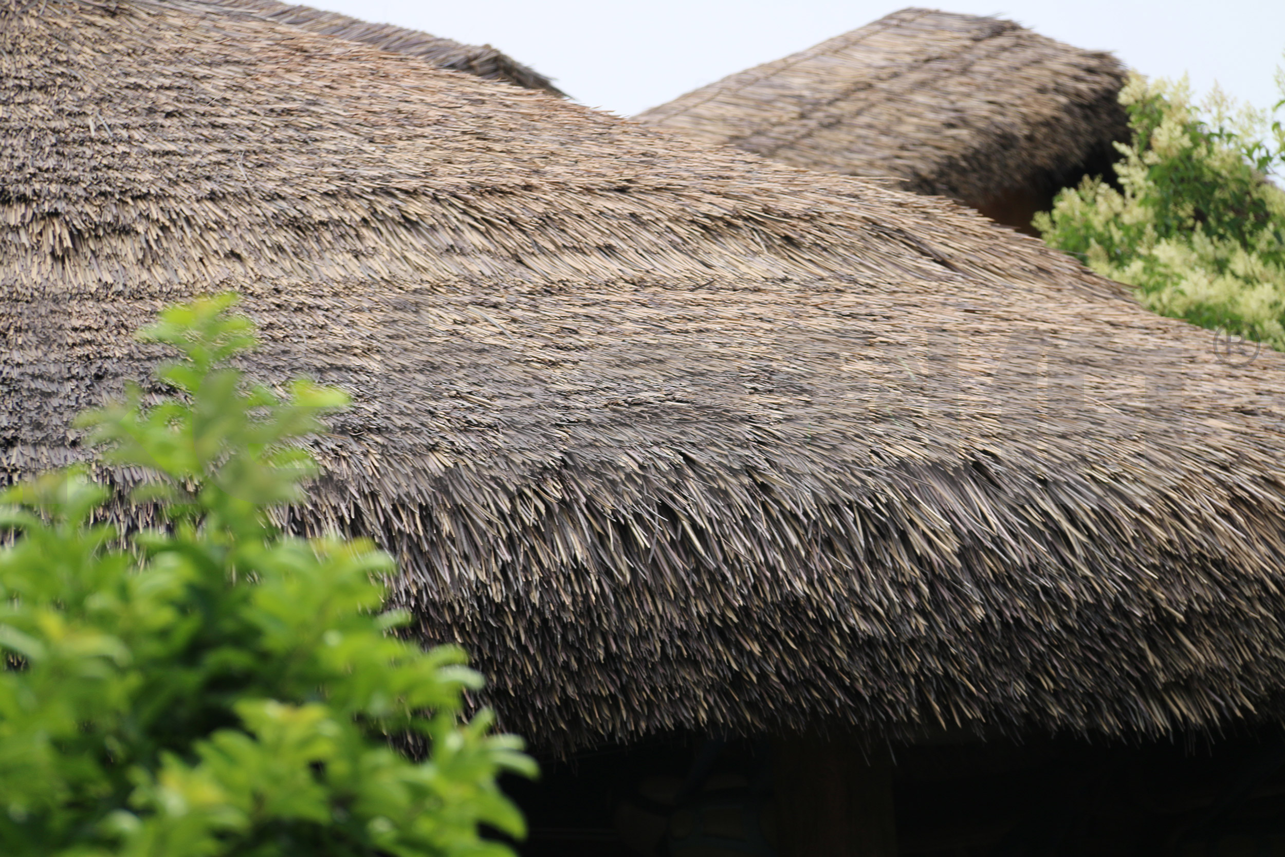 KEBA Roofing Enhances Synthetic Thatch Offering with Focus on Sustainability and Durability