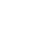 Global Market Adaptability1