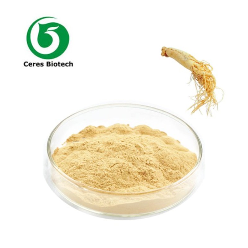 Panax Ginseng Extract-1_800x800.jpg