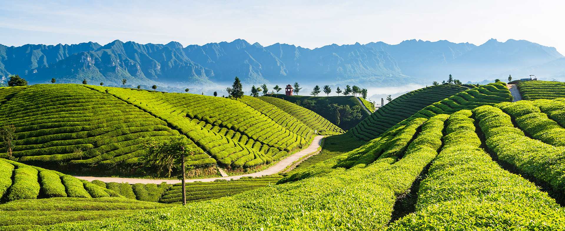 Quality Starts at the Source