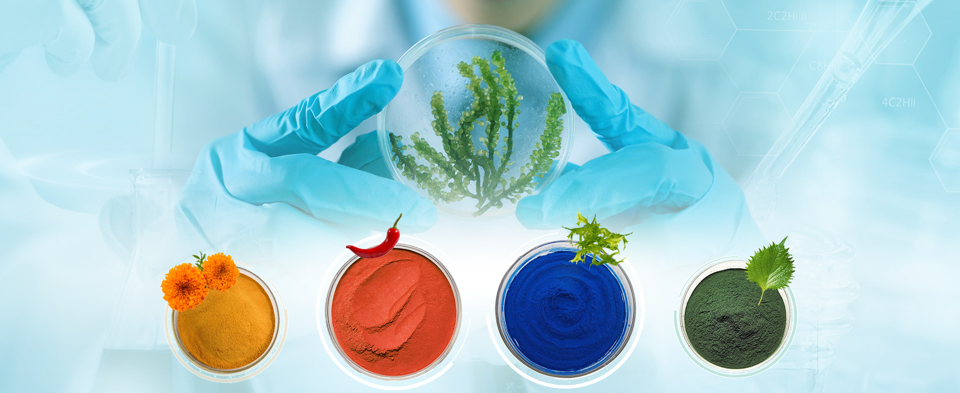 Unlocking Nature's Color Palette