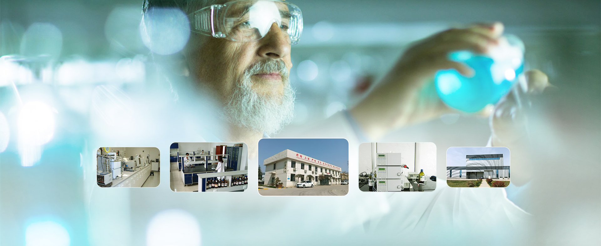 Internationally Certified Factory, Plant Extraction Expert