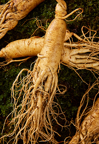 Dietary Supplement Ingredients