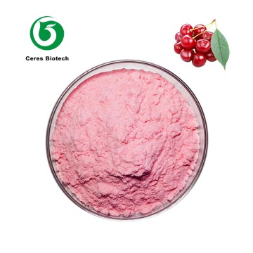 Natural Organic Tart Acerola Cherry Juice Powder