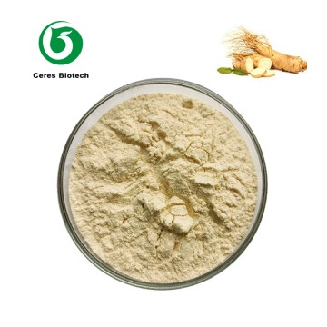 High Purity American Ginsenosides 80% American Ginseng Extract Powder