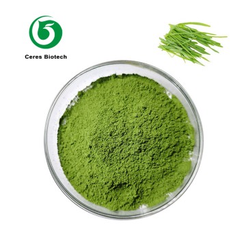 Bulk Food Grade Green Organic Barley Grass Powder