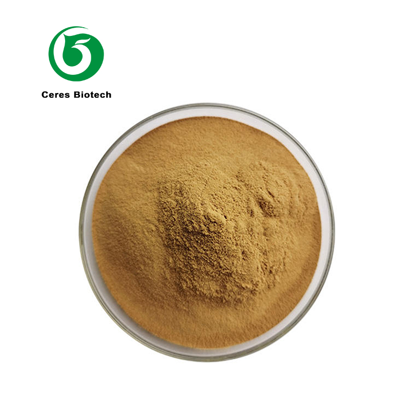 Bitter Melon Extract.jpg