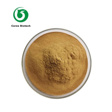 Food Grade High Quality Bitter Melon Extract Po...