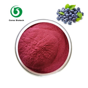 Organic Freeze-Dried Wild Blueberry Powder High Quality Blueberry Extract Blueberry Juice Powder