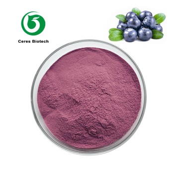 Natural Organic Freeze Dried Wild Blueberry Fru...