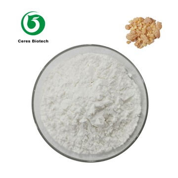 Food Grade Organic Boswellia Serrata Extract Powder Boswellic Acid