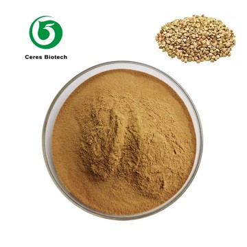 Factory Hot Sale Buckwheat Extract 30% Flavonoi...