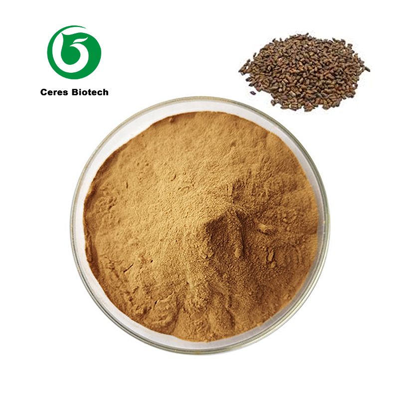 Semen Cassiae Extract.jpg