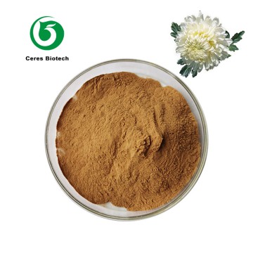 Plant Extract Chrysanthemum Flower Extract Powder 99%