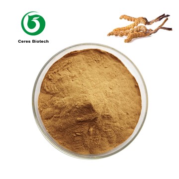 Water Soluble Cordyceps Sinensis Yarsagumba Ext...